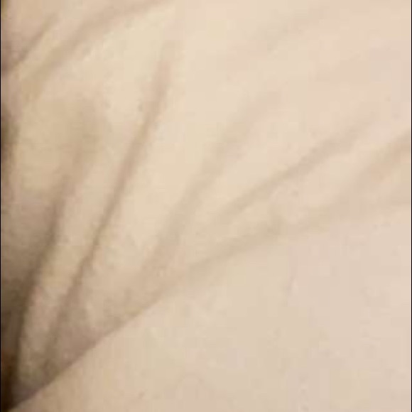 Meet your Posher, Charles - Picture 1 of 1